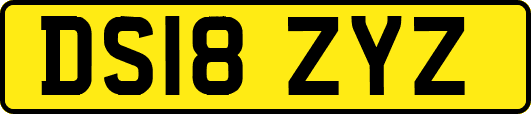 DS18ZYZ