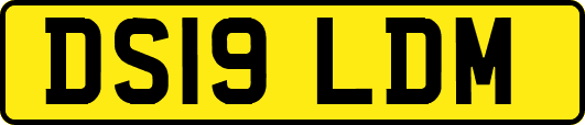 DS19LDM