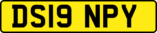 DS19NPY