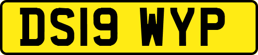 DS19WYP