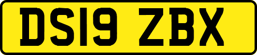 DS19ZBX