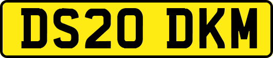 DS20DKM