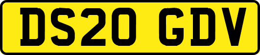 DS20GDV