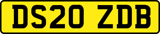DS20ZDB