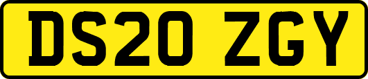 DS20ZGY