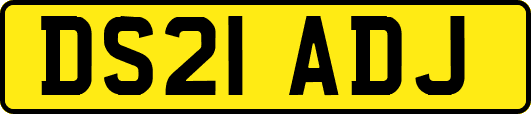DS21ADJ