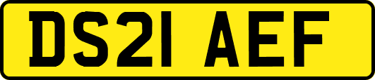 DS21AEF