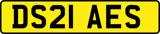 DS21AES