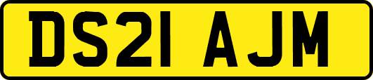 DS21AJM