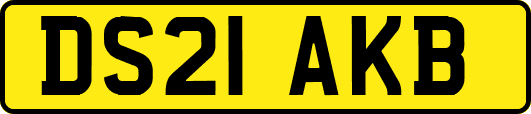 DS21AKB
