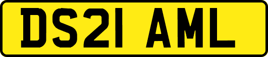DS21AML