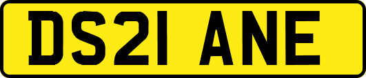 DS21ANE