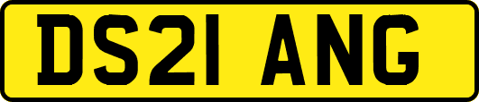 DS21ANG