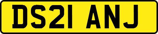 DS21ANJ