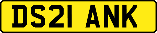 DS21ANK