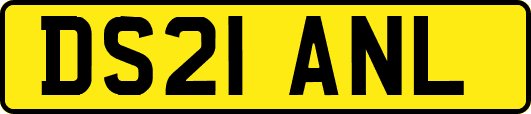 DS21ANL