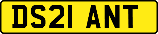 DS21ANT