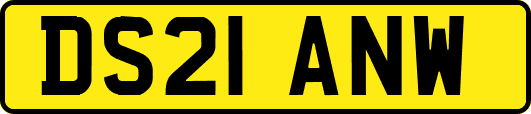 DS21ANW