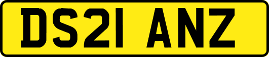 DS21ANZ