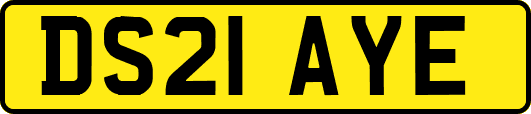 DS21AYE