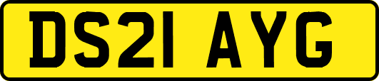 DS21AYG