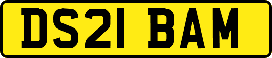 DS21BAM