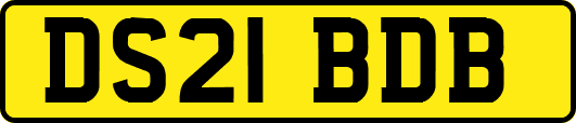 DS21BDB