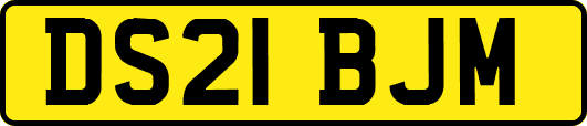 DS21BJM