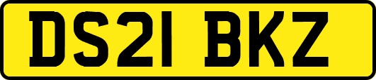 DS21BKZ
