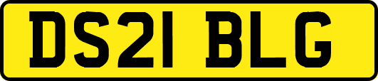 DS21BLG