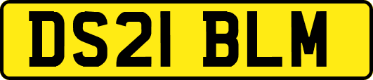 DS21BLM