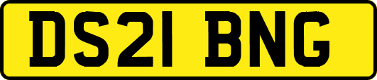 DS21BNG