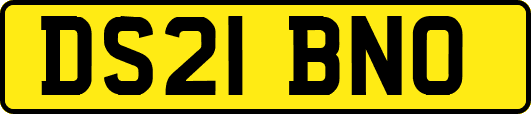 DS21BNO