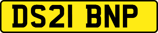 DS21BNP