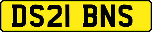 DS21BNS