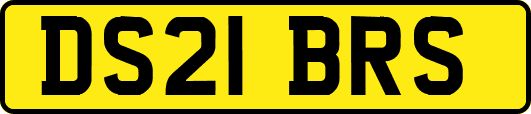 DS21BRS
