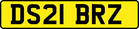 DS21BRZ