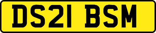 DS21BSM