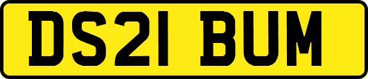 DS21BUM
