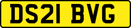 DS21BVG