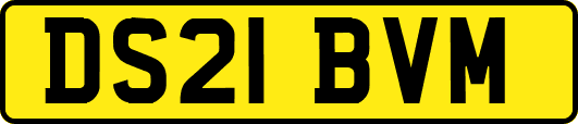 DS21BVM