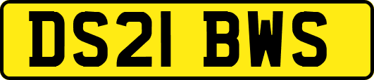DS21BWS