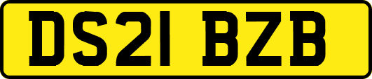 DS21BZB