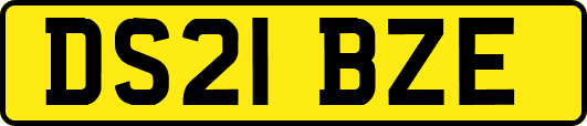 DS21BZE