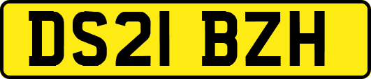 DS21BZH