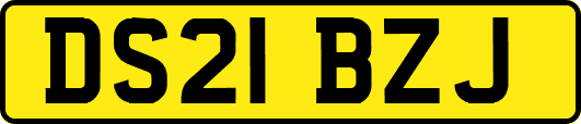 DS21BZJ