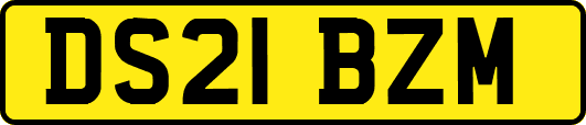 DS21BZM