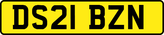 DS21BZN