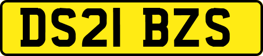 DS21BZS