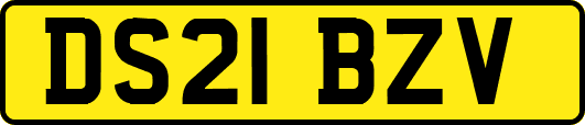 DS21BZV